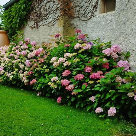 Le Charbonnet Bed and Breakfast Anzy-le-Duc Exteriör bild