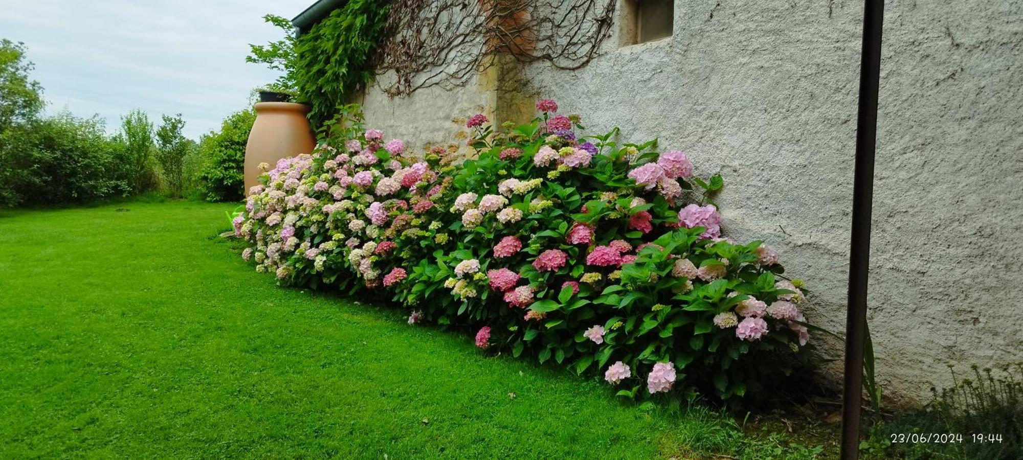 Le Charbonnet Bed and Breakfast Anzy-le-Duc Exteriör bild